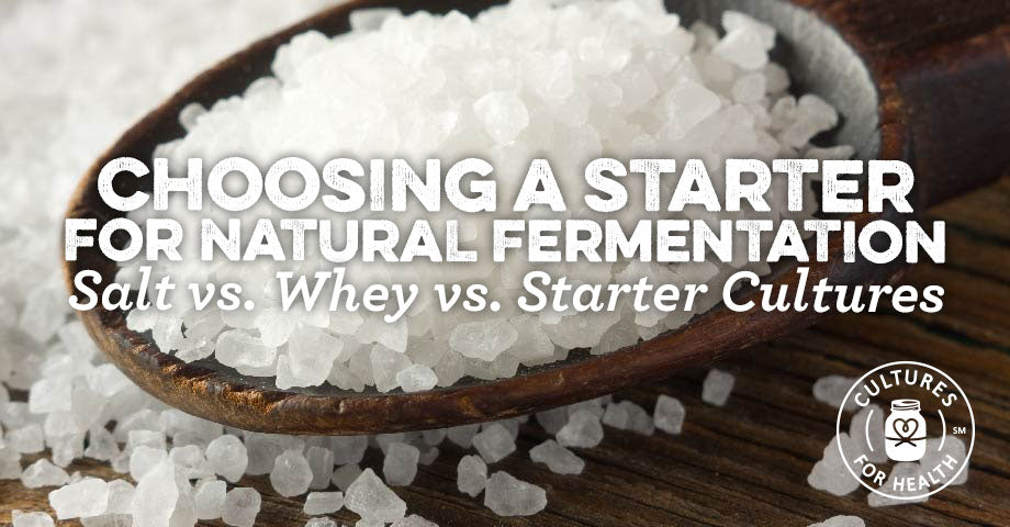 Salt vs. Whey vs. Starter Cultures for Fermenting Vegetables, Fruits & Condiments
