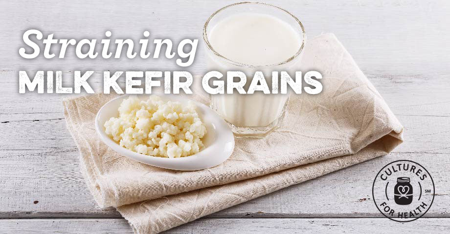 Dealing with Curds & Whey: Straining Milk Kefir Grains from Over-Cultured Kefir
