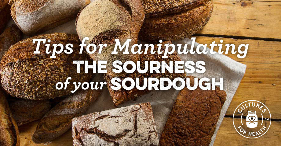 Discover How to Make Sourdough Even More Sour - Pro Tips for Manipulating Sourdough