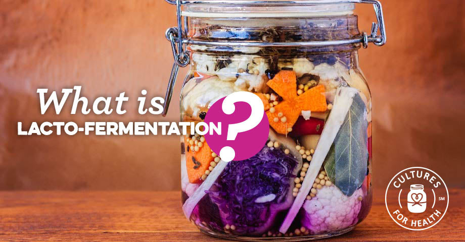 What Is Lacto-Fermentation?