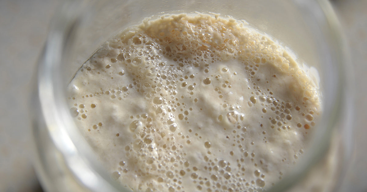 Types of Fermentation | Learn the Main Types of Fermented Foods ...