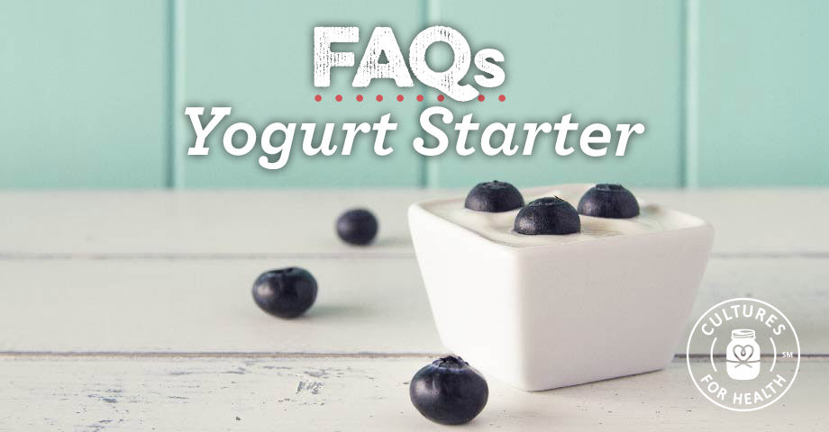 Yogurt Starter FAQ