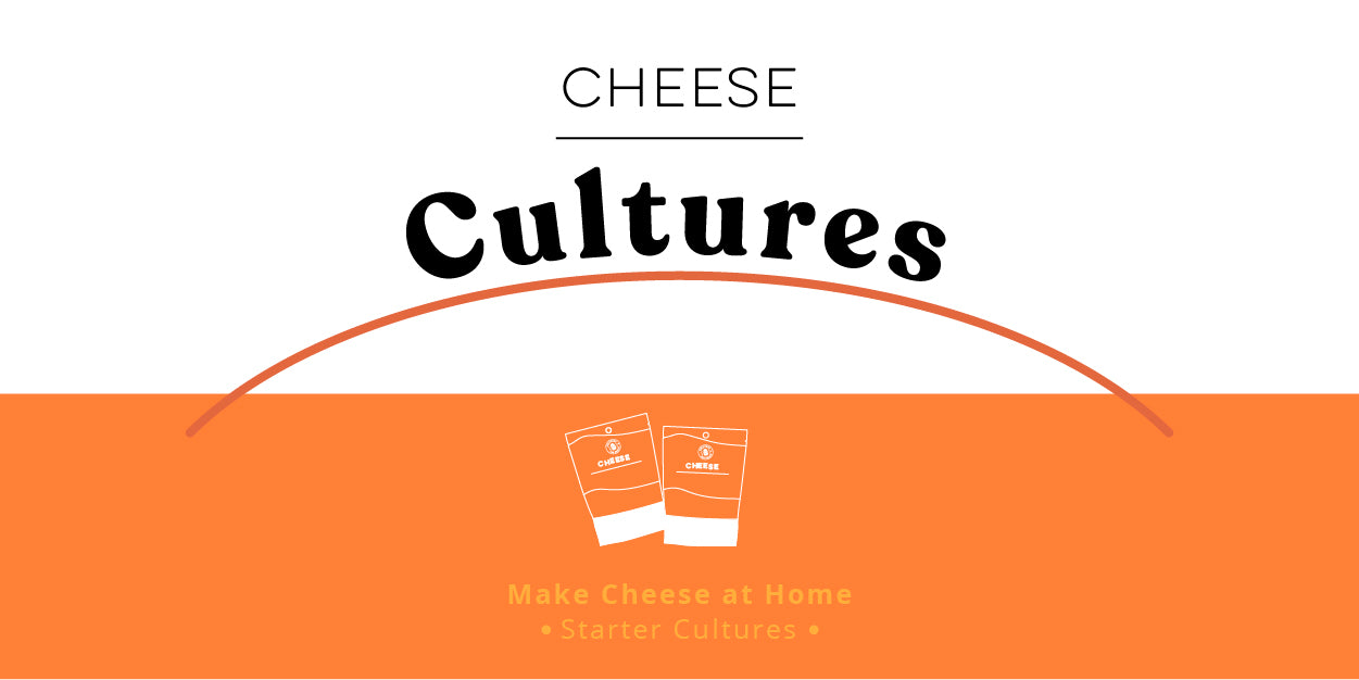 Cheese Cultures