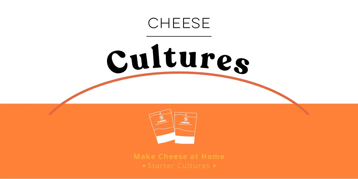 https://culturesforhealth.com/cdn/shop/collections/Cheese_Cultures-13_copy.jpg?v=1650390795