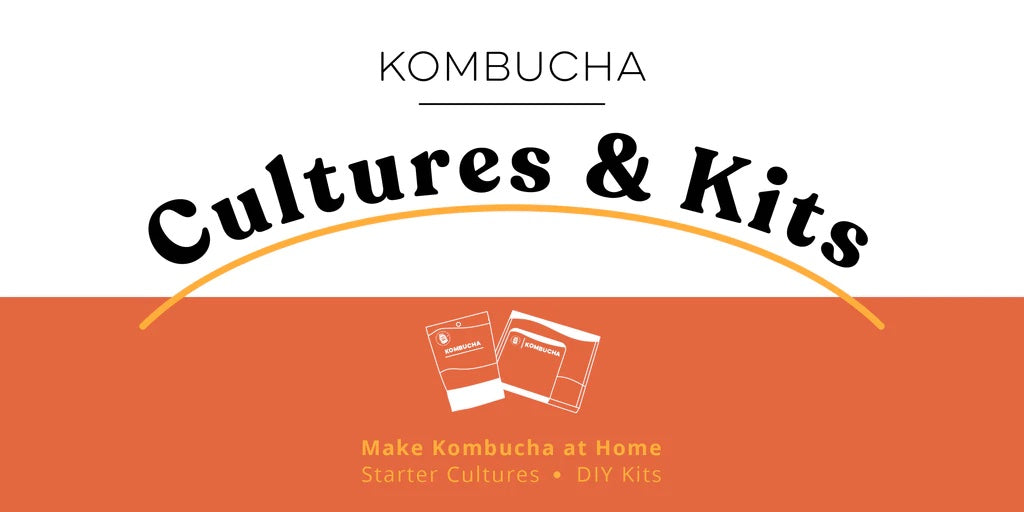 Kombucha Cultures