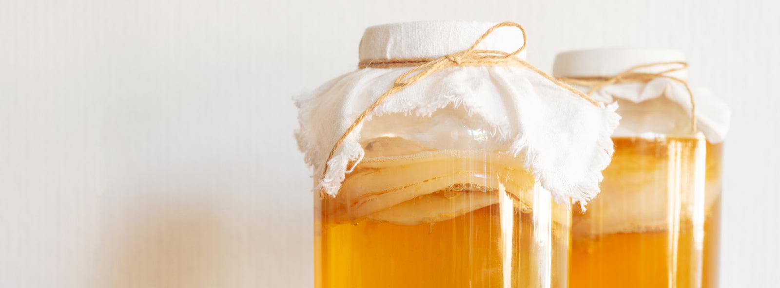 Kombucha Scoby & Mother Cultures