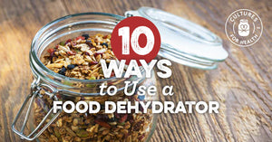 10 WAYS TO USE A FOOD DEHYDRATOR