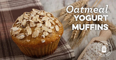 Oatmeal yogurt muffins