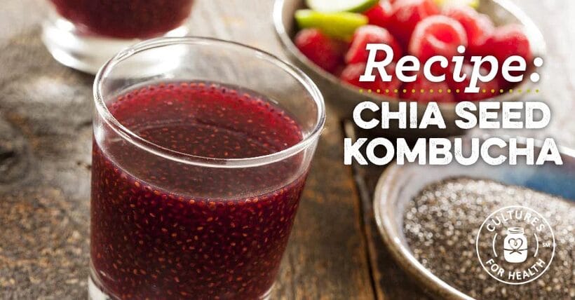 Chia seed kombucha recipe