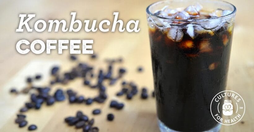 Kombucha coffee recipe