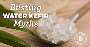 BUSTING MYTHS ABOUT WATER KEFIR DRINKS