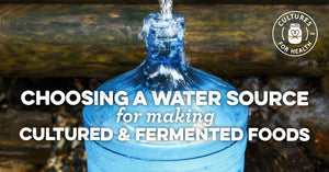 CHOOSING A WATER SOURCE FOR MAKING CULTURED & FERMENTED FOODS