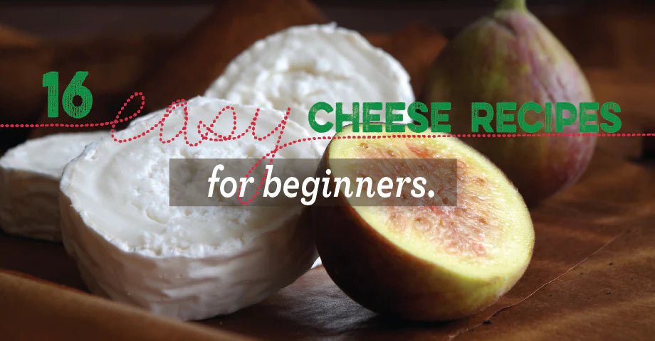 Waxing Hard Cheeses - Cultures For Health