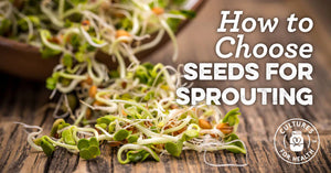 HOW TO CHOOSE SEEDS FOR SPROUTING