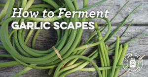How to Ferment Garlic Scapes