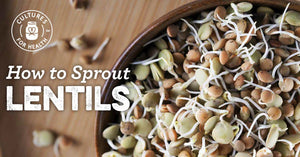 HOW TO SPROUT LENTILS | STEP-BY-STEP SPROUTING INSTRUCTIONS
