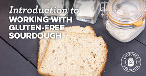 Introduction to Working with Gluten-free sourdough
