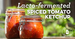 Recipe: Lacto-Fermented Spiced Tomato Ketchup