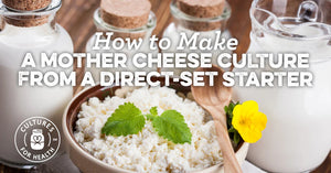 MAKING A MOTHER CHEESE CULTURE USING A DIRECT-SET STARTER CULTURE