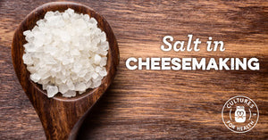 Salt in Cheesemaking