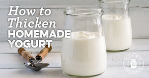 How To Thicken Yogurt: Simple Fixes for Runny Yogurt