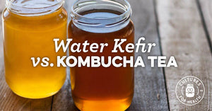 WATER KEFIR VS. KOMBUCHA: WHAT SHOULD YOU BE DRINKING?