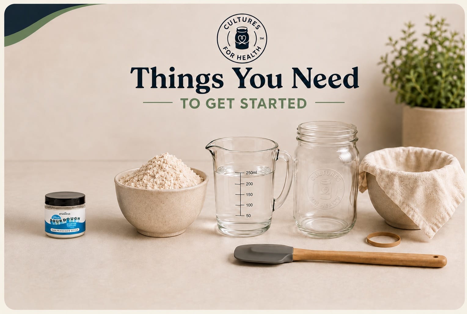 Fresh starter jar, white flour, water, quart jar, muslin, rubber band and spatula