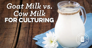 THE DIFFERENCES BETWEEN COW MILK AND GOAT MILK