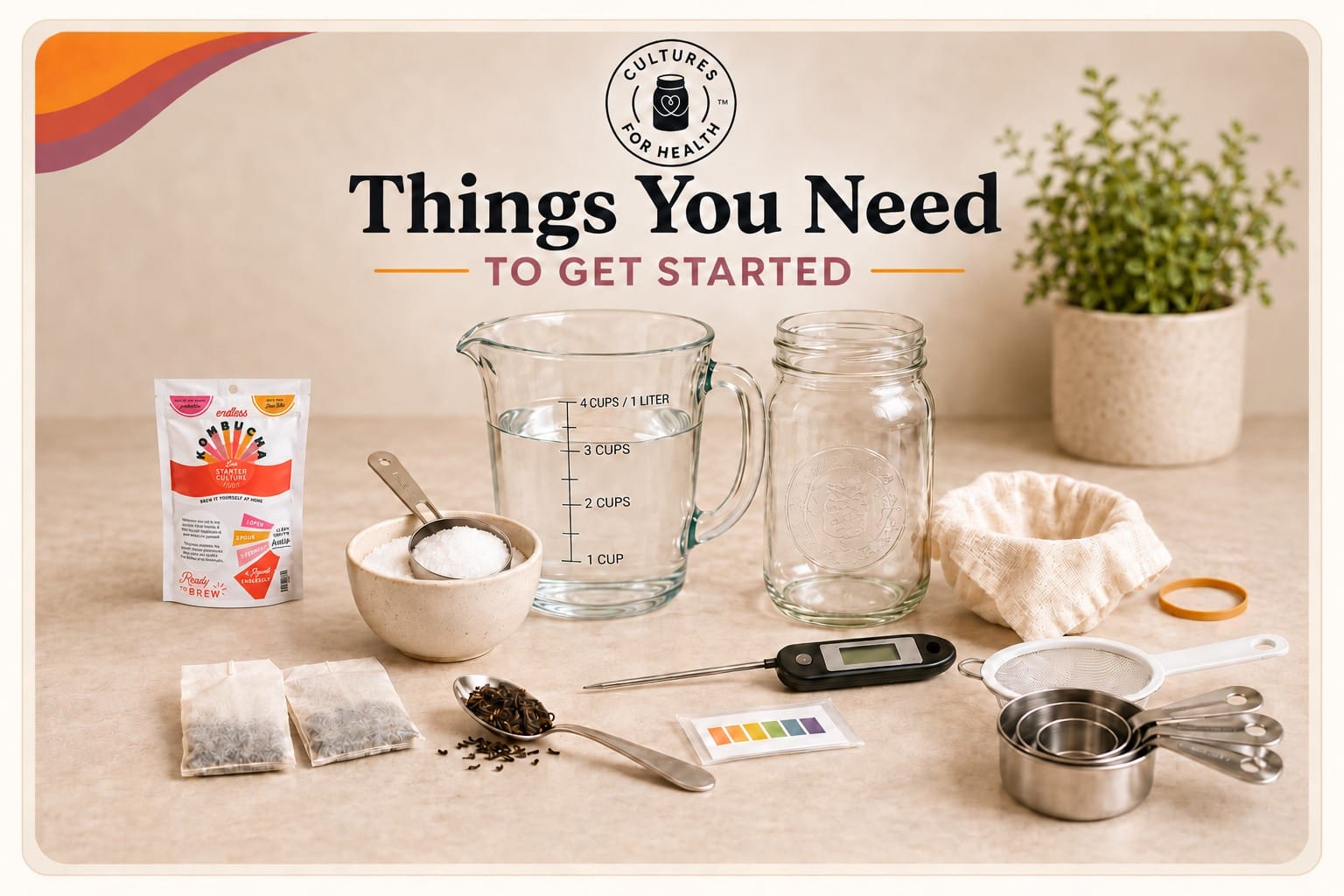 Tools and ingredients for Endless Kombucha