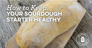 HOW TO KEEP YOUR SOURDOUGH STARTER HEALTHY