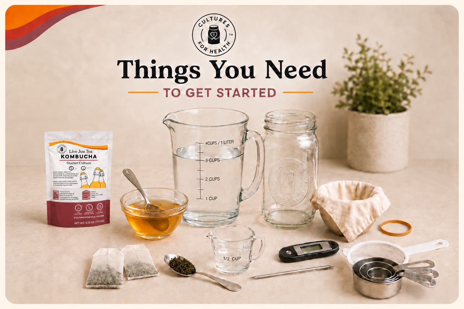 Live JUN culture, honey, green tea, water and brewing equipment