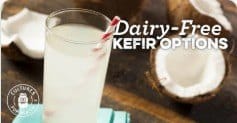 Dairy-Free Kefir