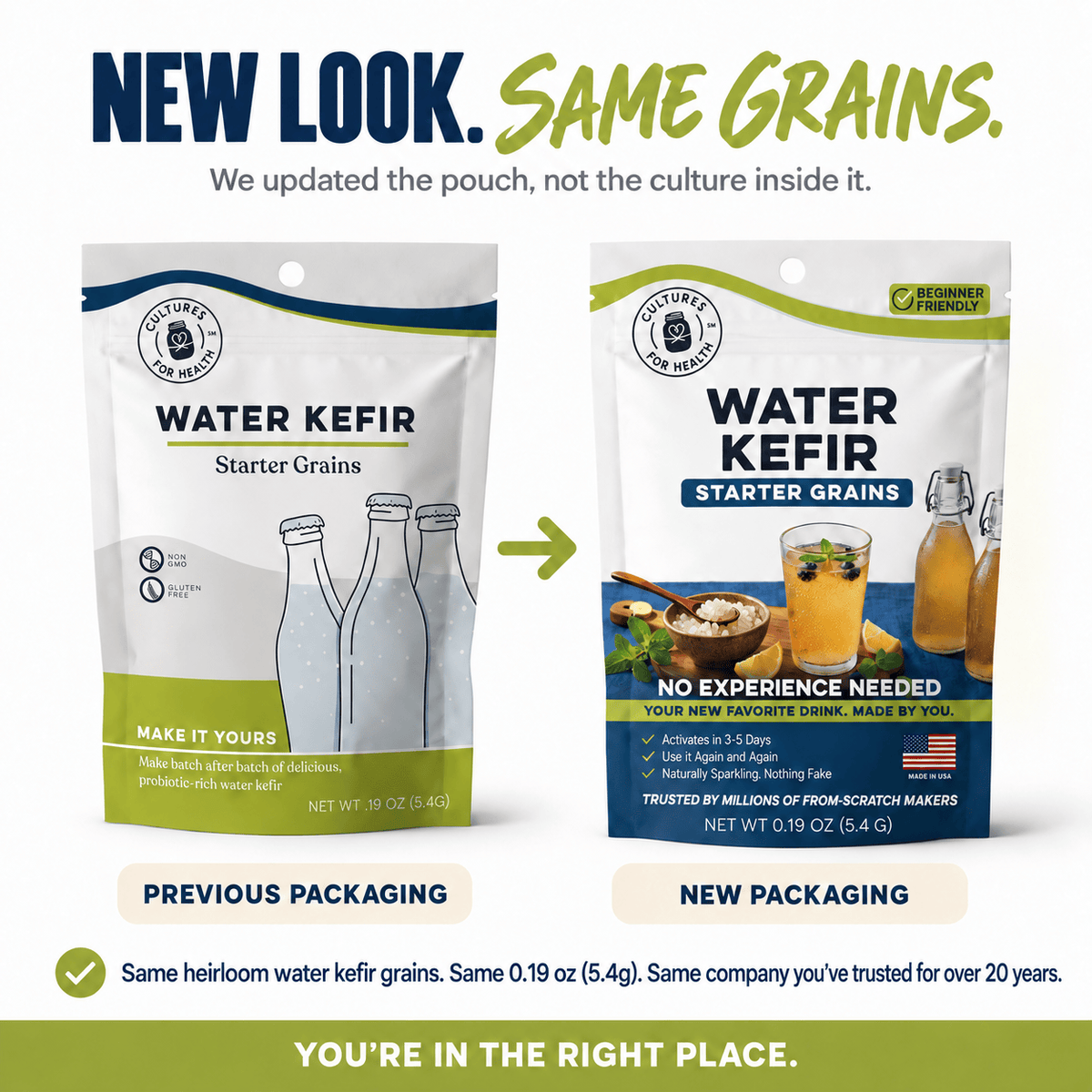 Kefir Water Kefir Grains