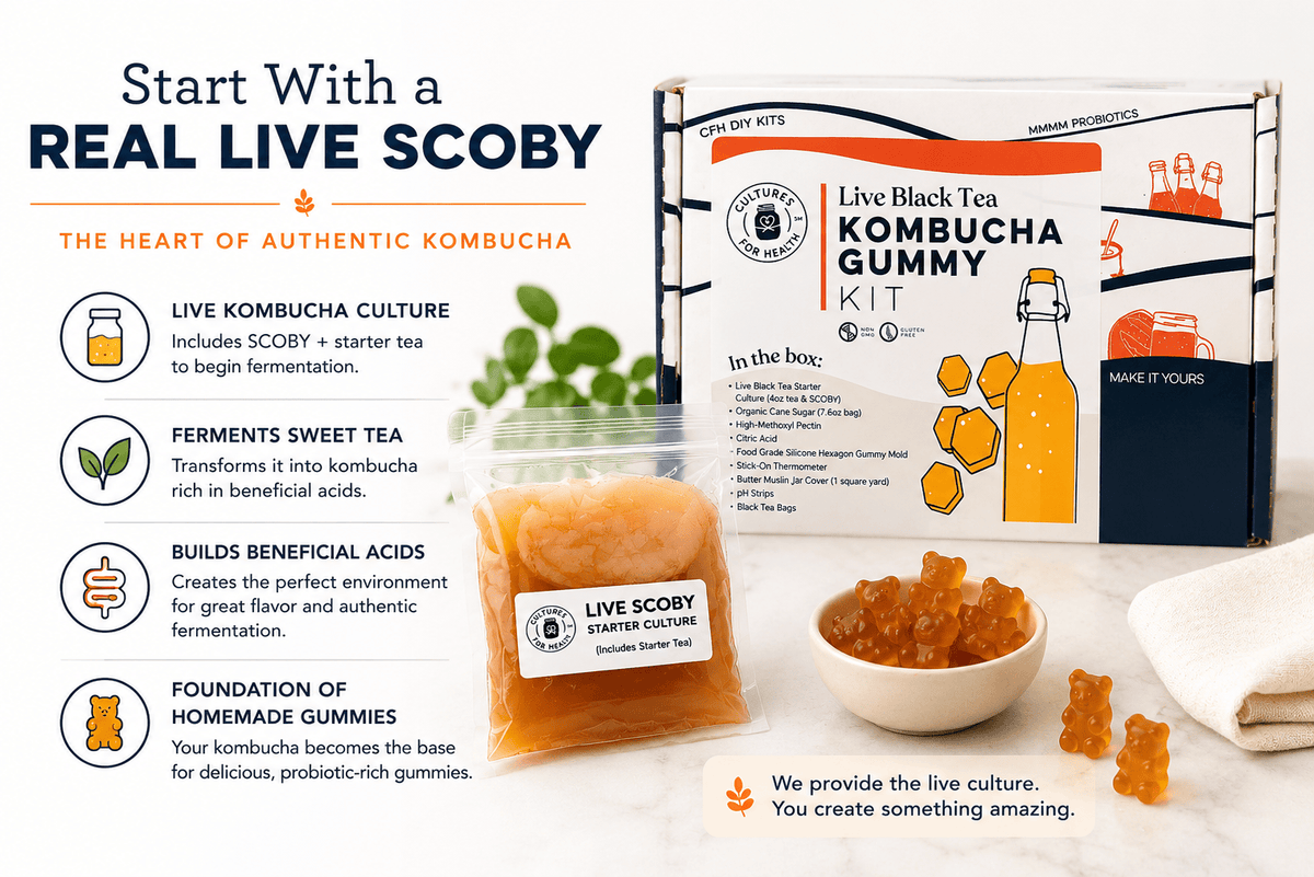 Kombucha Live Black Tea Kombucha Gummy Kit | Make Real Homemade Gummies From Scratch