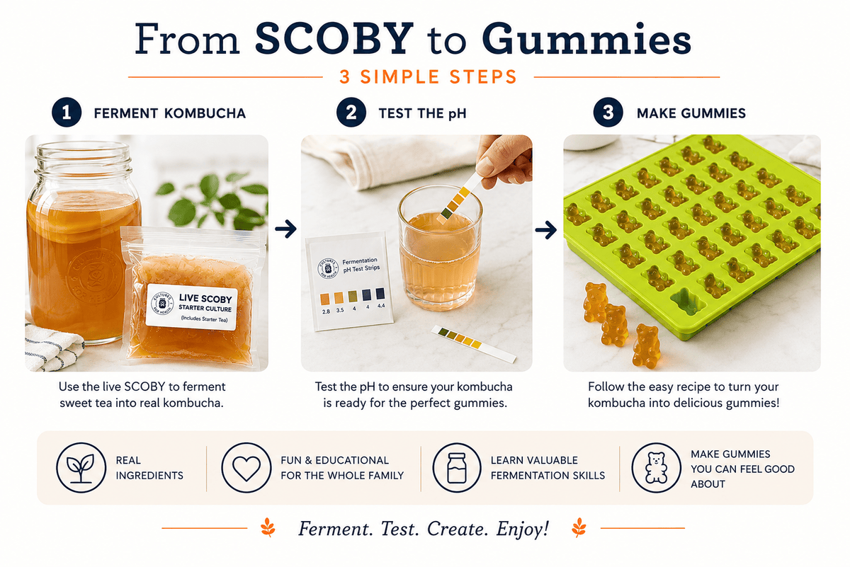 Kombucha Live Black Tea Kombucha Gummy Kit | Make Real Homemade Gummies From Scratch