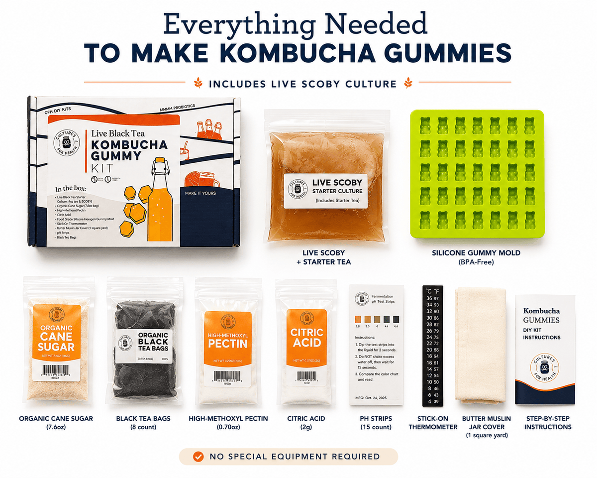 Kombucha Live Black Tea Kombucha Gummy Kit | Make Real Homemade Gummies From Scratch
