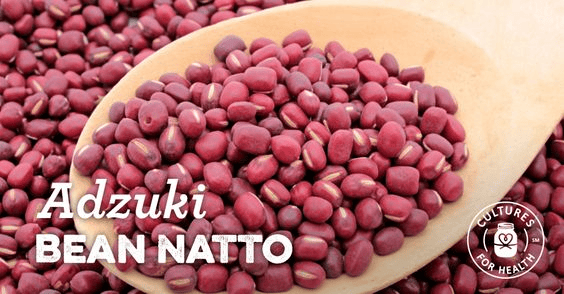 Red adzuki beans for making adzuki bean natto