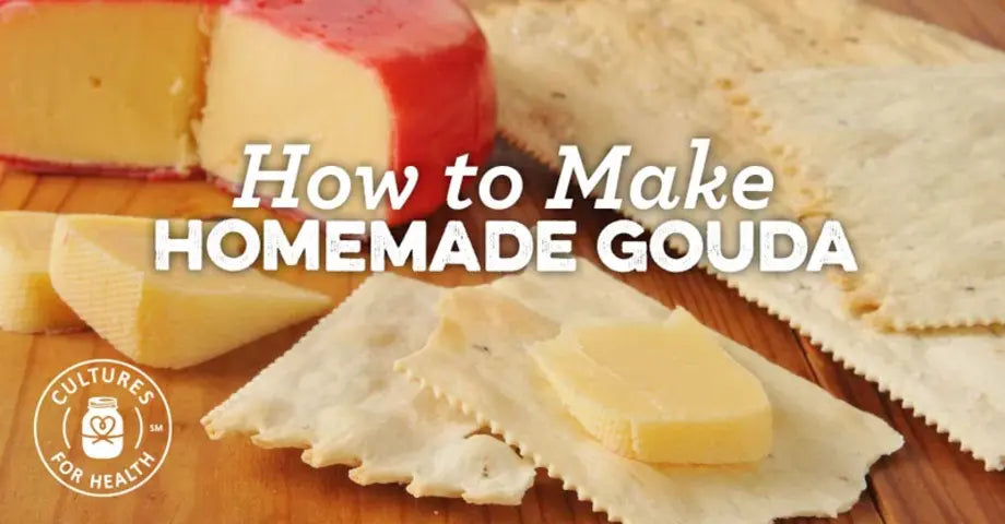 How to Make Homemade Gouda recipe from Cultures for Health