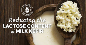 REDUCING THE LACTOSE CONTENT OF KEFIR