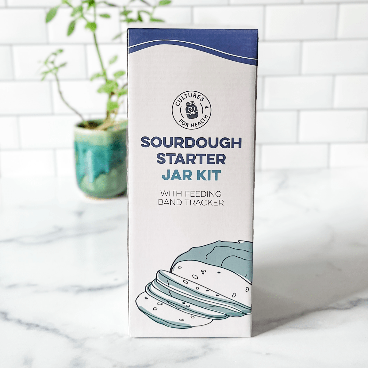 Rye Sourdough Kit