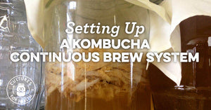 CONTINUOUS BREW KOMBUCHA: WHAT YOU NEED TO KNOW + THE BEST JARS FOR IT!