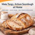 Sourdough Rapid Sourdough Starter