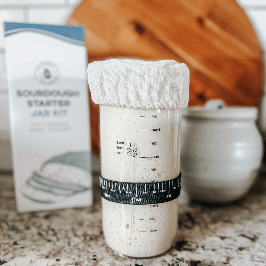 Buy Sourdough Starter San Francisco Sourdough Starter for Sale Online