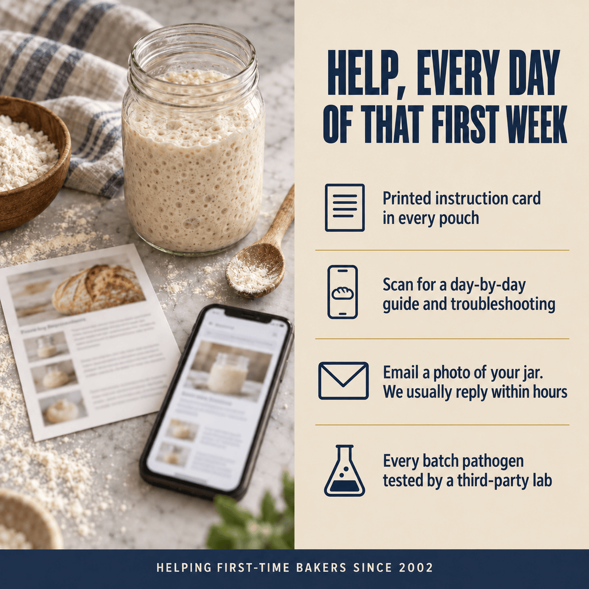 Sourdough Sourdough Starter Culture: San Francisco Style
