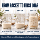 Sourdough Sourdough Starter Culture: San Francisco Style