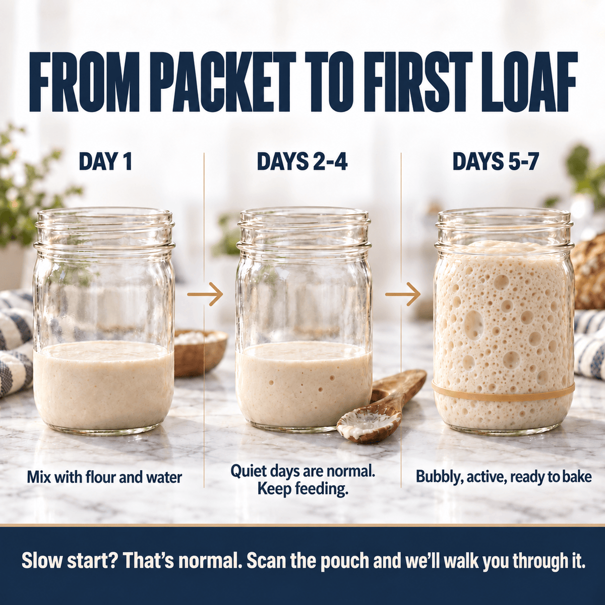 Sourdough Sourdough Starter Culture: San Francisco Style