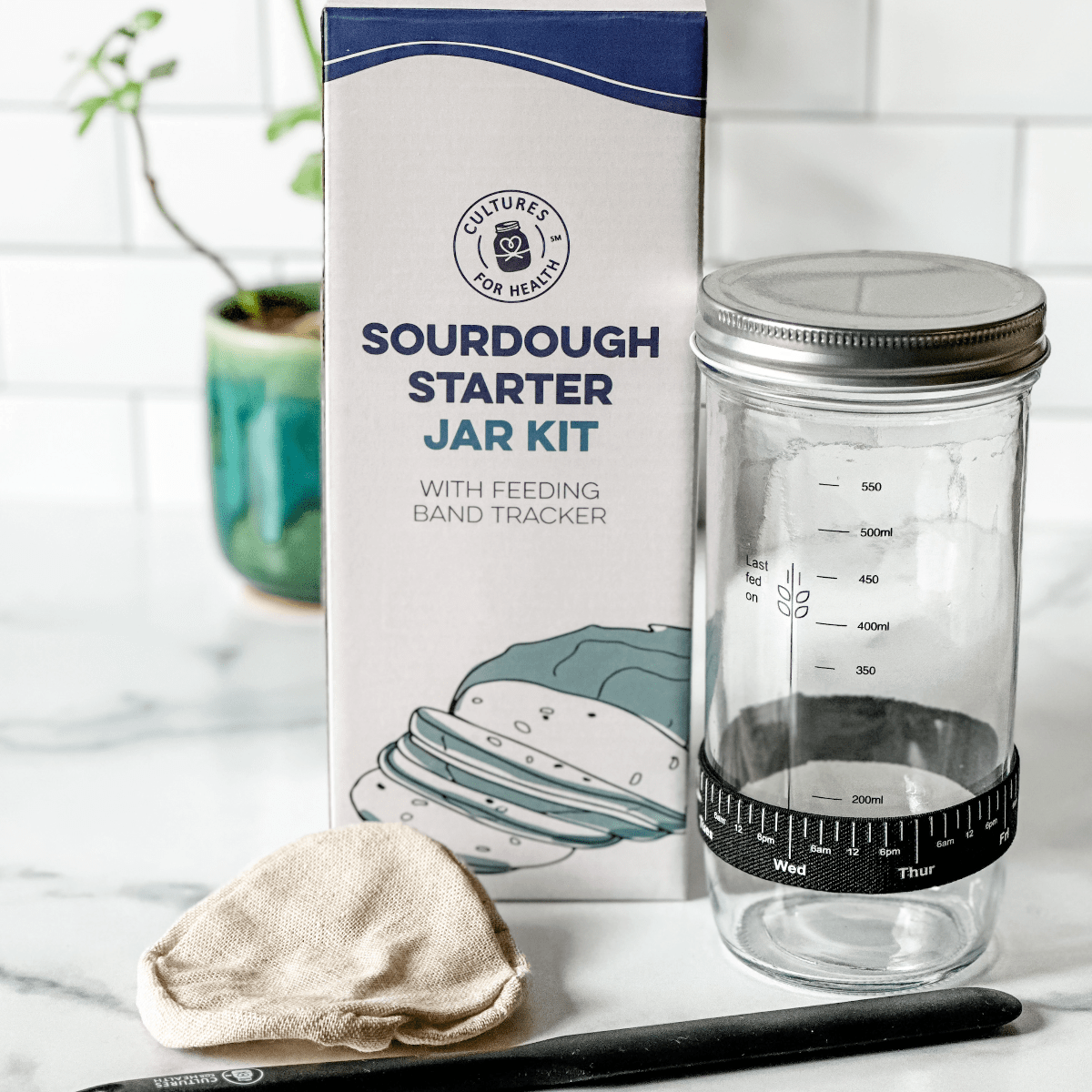 Buy Sourdough Starter San Francisco Sourdough Starter For Sale Online buy-sourdough-starter-san-francisco-sourdough-starter-for-sale-online