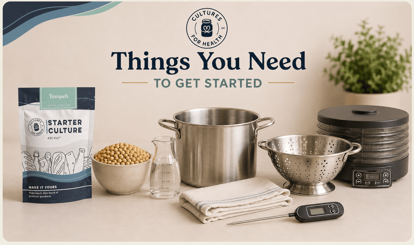 Soybeans, tempeh starter, vinegar, pot, colander, towel, thermometer, dehydrator and perforated incubation bag