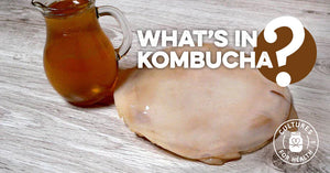 WHAT IS KOMBUCHA? | KOMBUCHA BACTERIA & YEAST